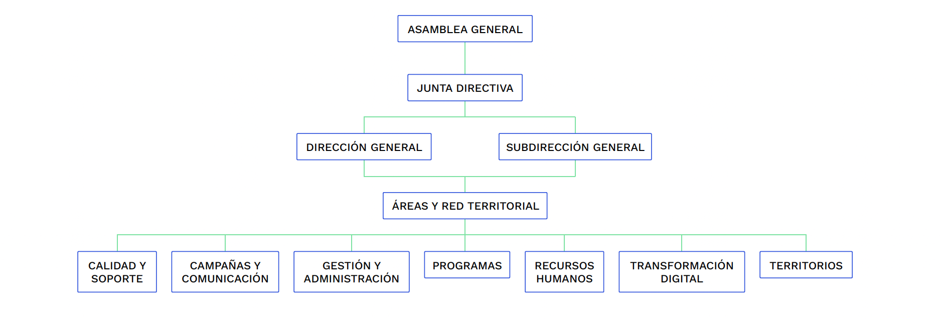 Organigrama de Accem